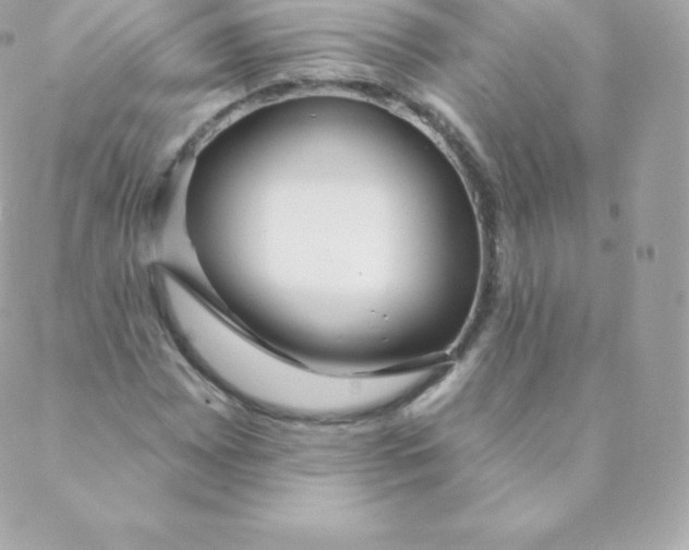 X0000088611065200706151821