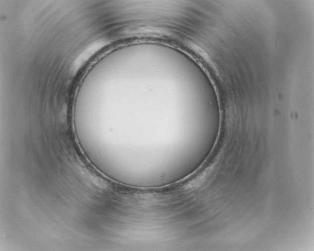 X0000088611066200706151821