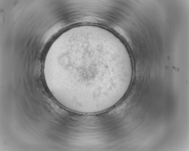 X0000088611067200706151821