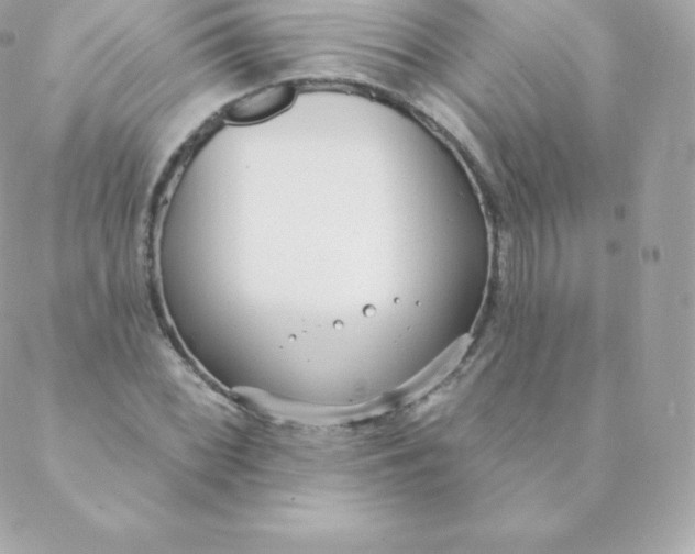 X0000088611068200706151821