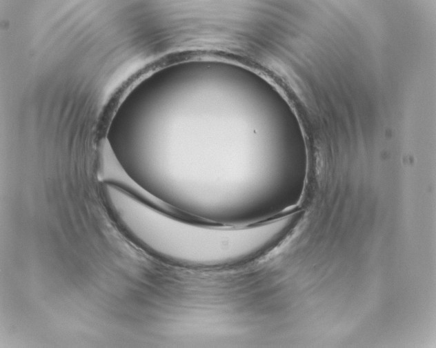 X0000088611069200706151821