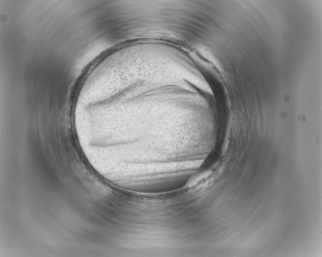 X0000088611071200706151821