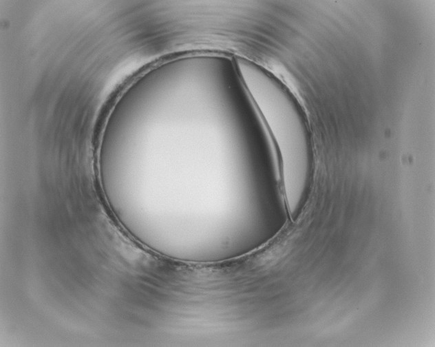 X0000088611072200706151821