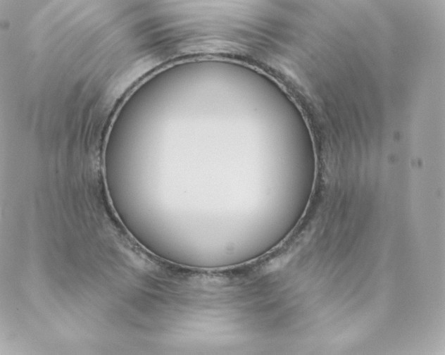 X0000088611073200706151821