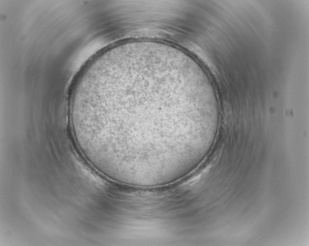 X0000088611075200706151821