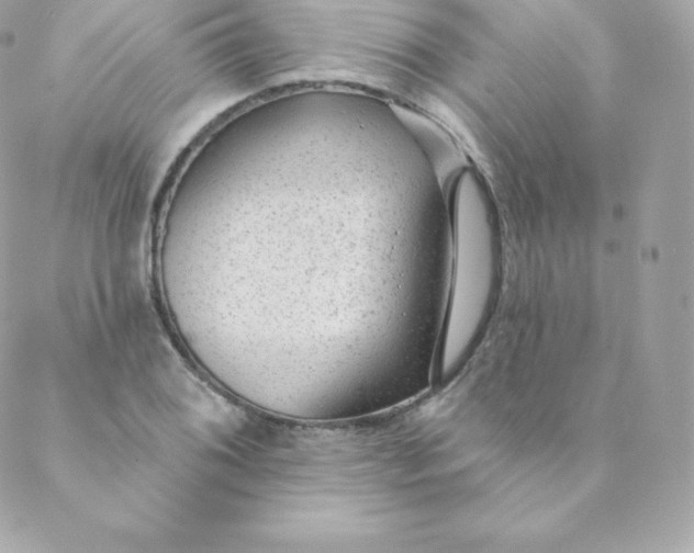 X0000088611076200706151821