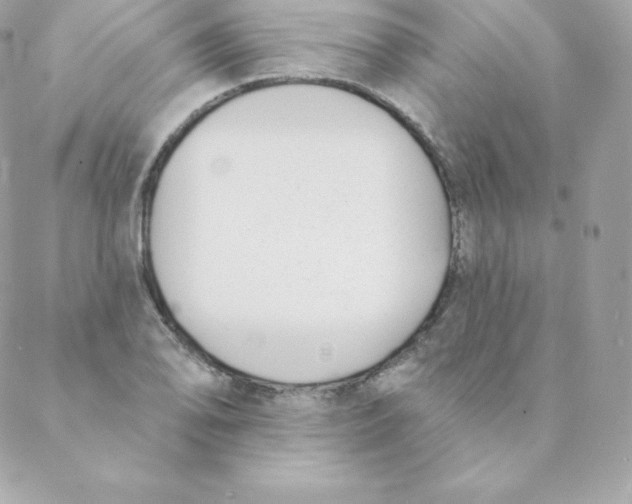 X0000088611078200706151821