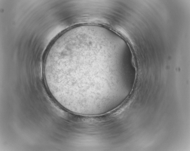 X0000088611079200706151821