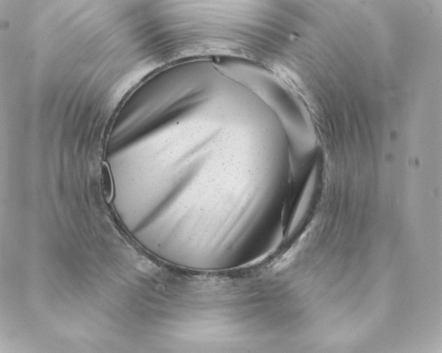 X0000088611081200706151821