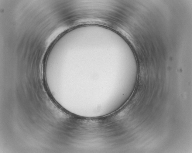 X0000088611082200706151821