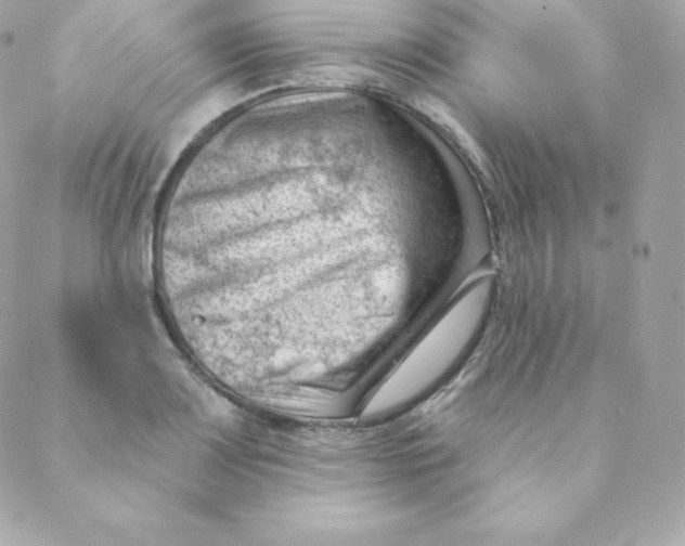 X0000088611083200706151821