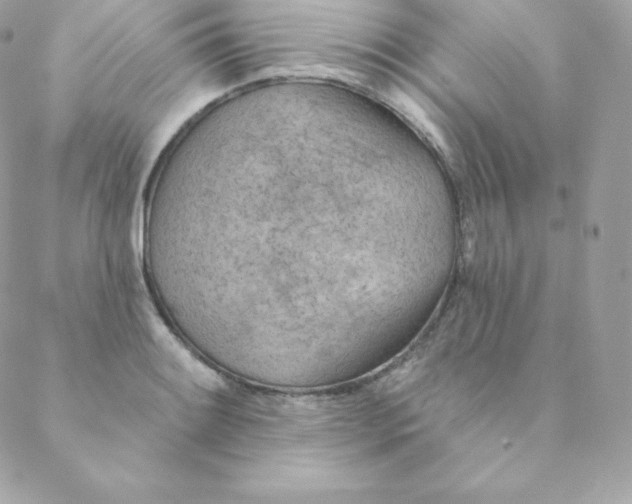 X0000088611084200706151821