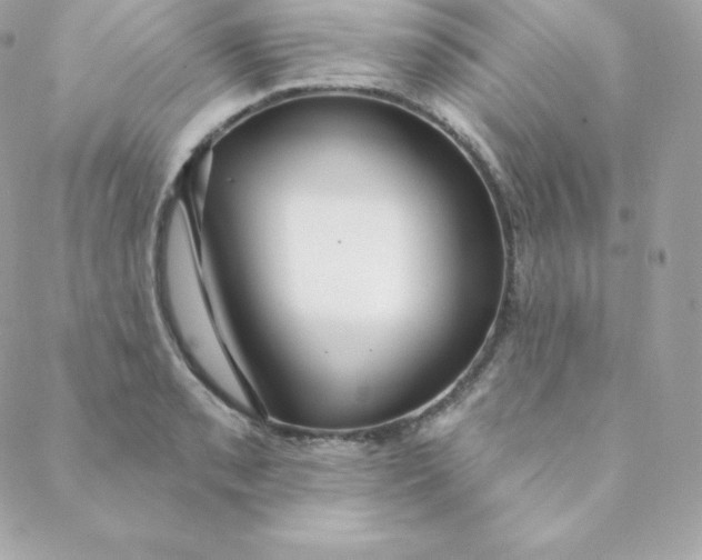 X0000088611085200706151821