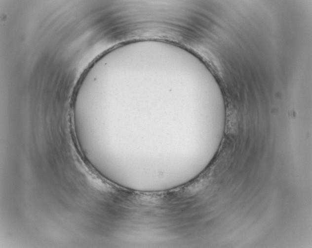 X0000088611086200706151821