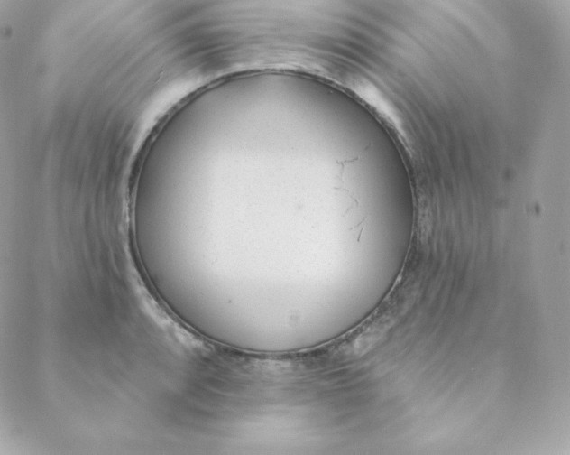 X0000088611088200706151821