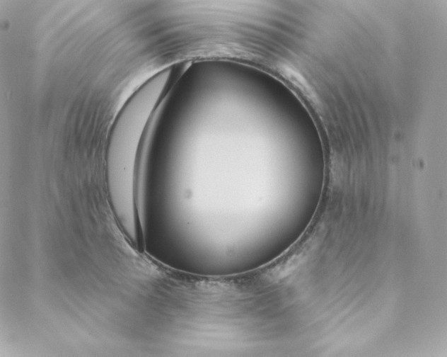 X0000088611089200706151821