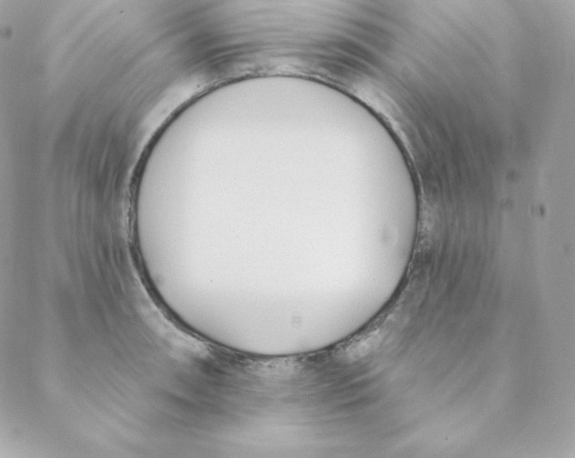 X0000088611090200706151821