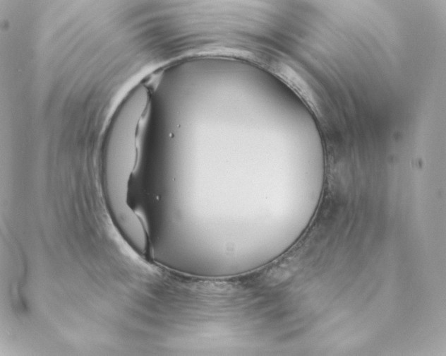 X0000088611092200706151821