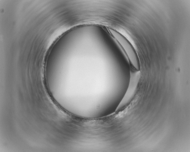 X0000088611093200706151821