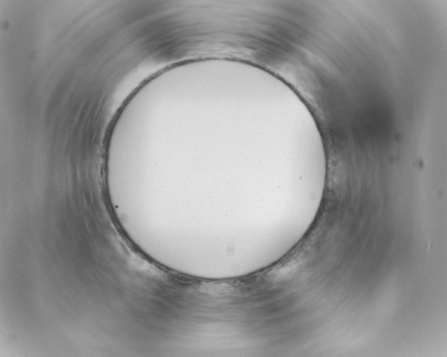 X0000088611094200706151821