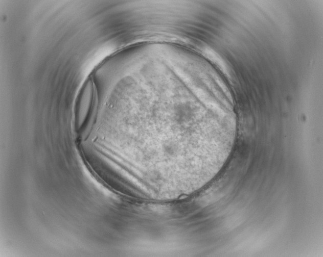 X0000088611095200706151821