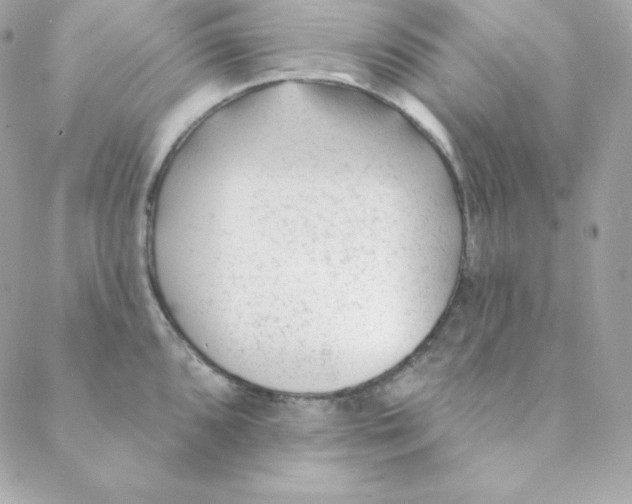 X0000088611096200706151821