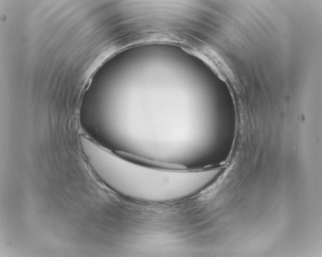 X0000088611097200706151820