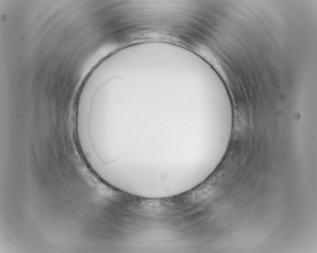 X0000088611098200706151820