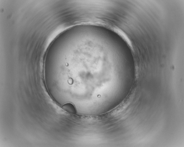 X0000088611099200706151820