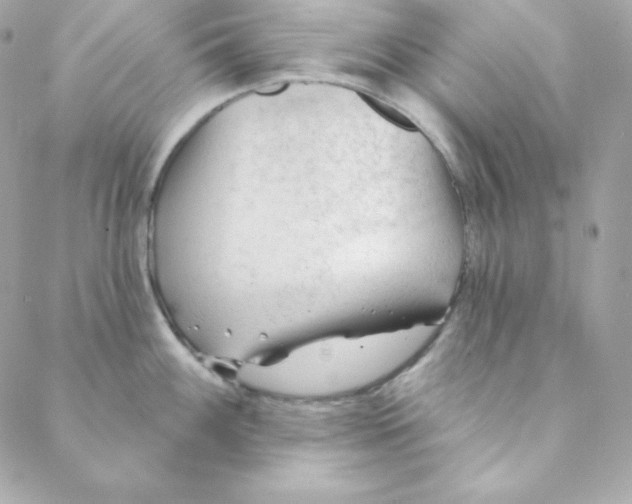 X0000088611100200706151820