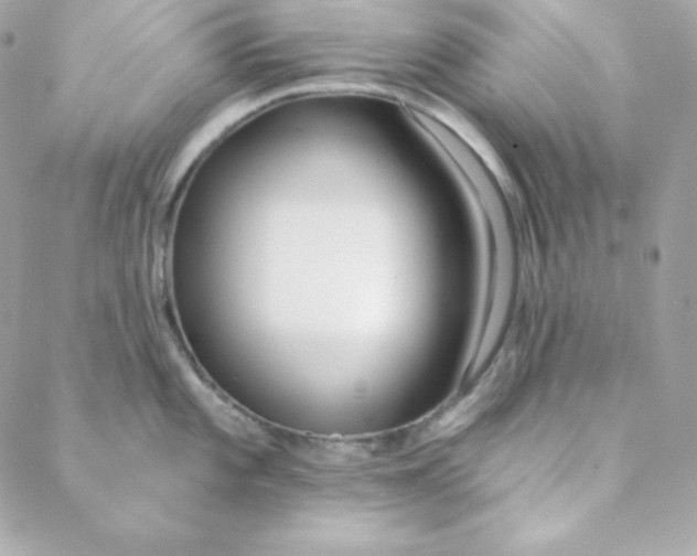 X0000088611101200706151820