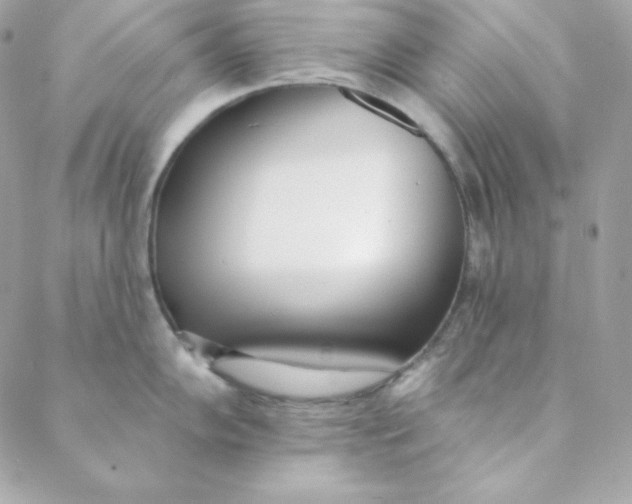 X0000088611102200706151820