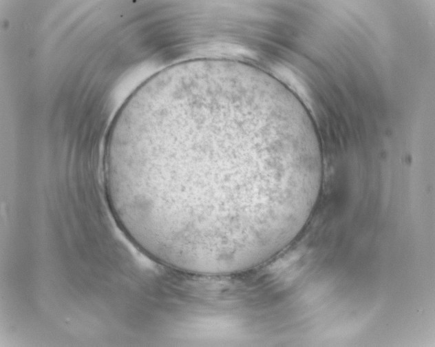 X0000088611103200706151820