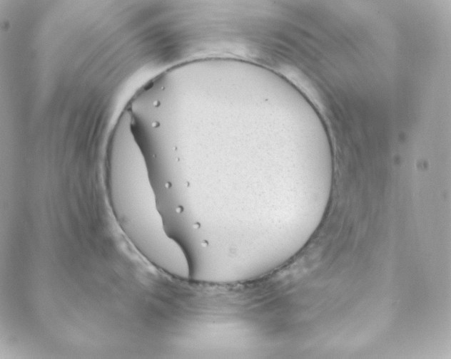 X0000088611104200706151820