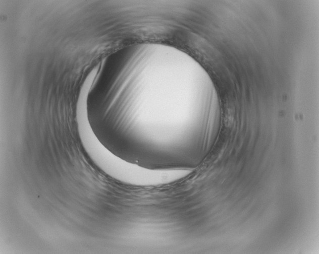 X0000088611108200706151820