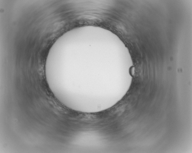 X0000088611109200706151820