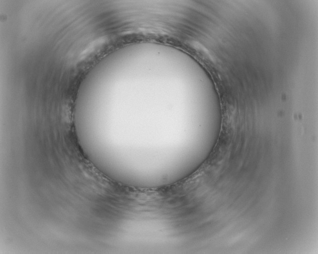 X0000088611110200706151820