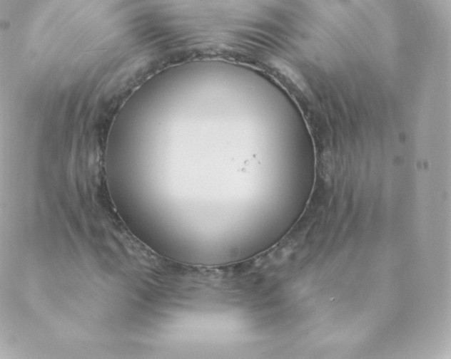 X0000088611111200706151820