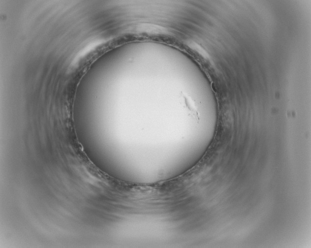 X0000088611112200706151820