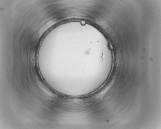 X0000088611113200706151820