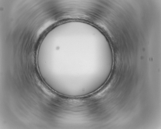 X0000088611114200706151820