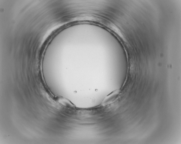 X0000088611116200706151820