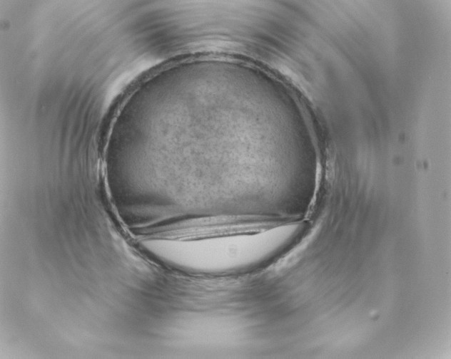 X0000088611117200706151820