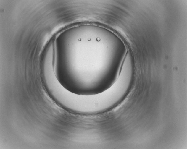 X0000088611118200706151820