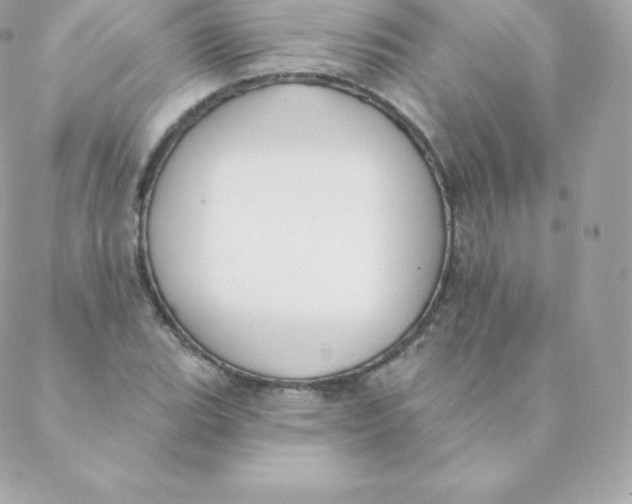 X0000088611119200706151820