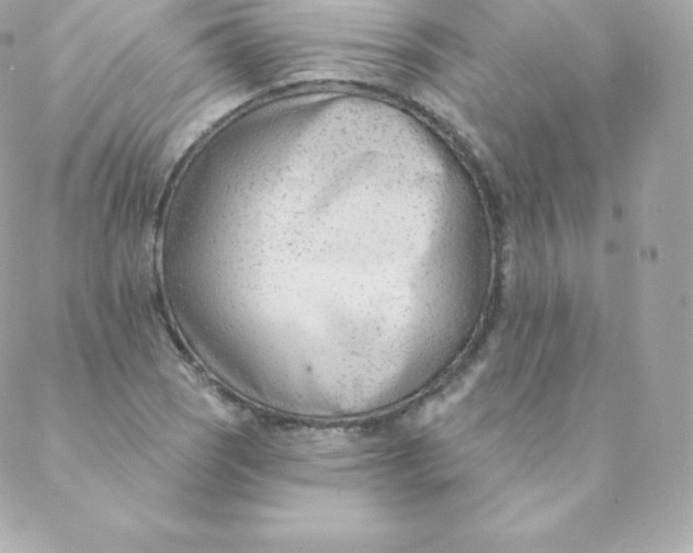 X0000088611121200706151820