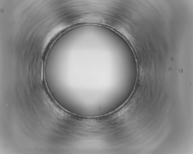 X0000088611123200706151820