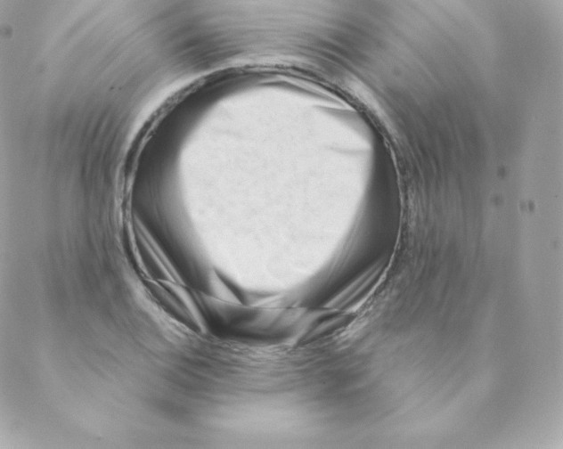 X0000088611124200706151820