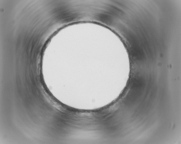 X0000088611126200706151820