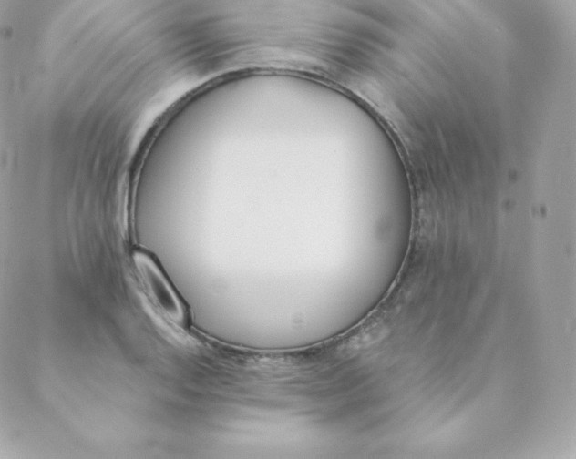 X0000088611128200706151820